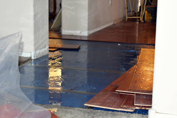 Professional Sewage Cleanup technician working in Dunreith, IN